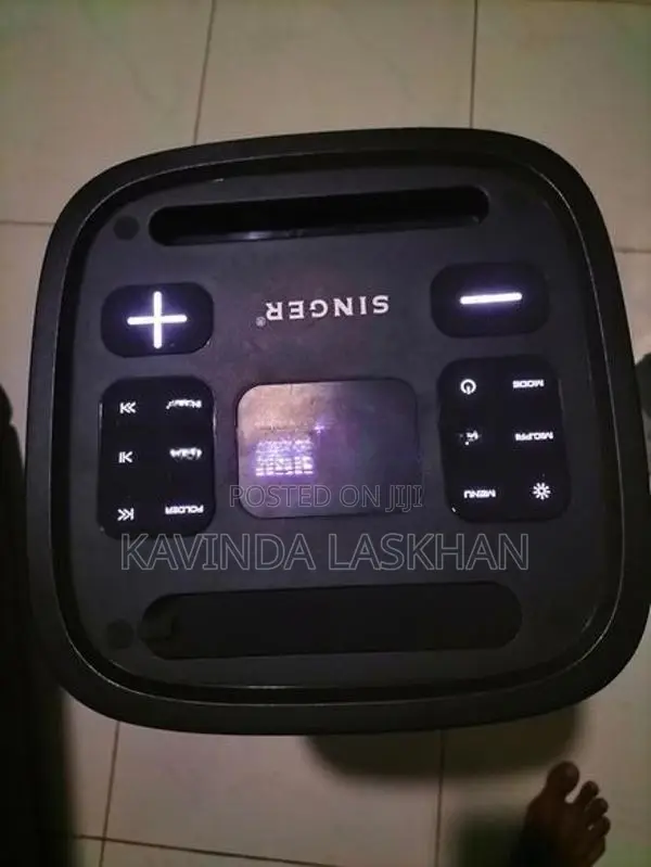 Singer Portable Party Speaker