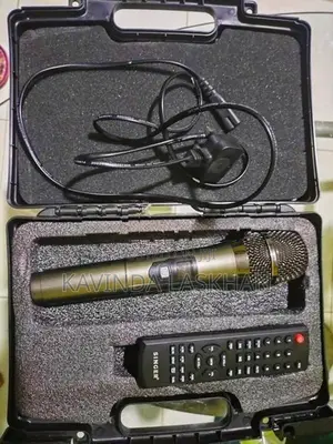 Singer Portable Party Speaker