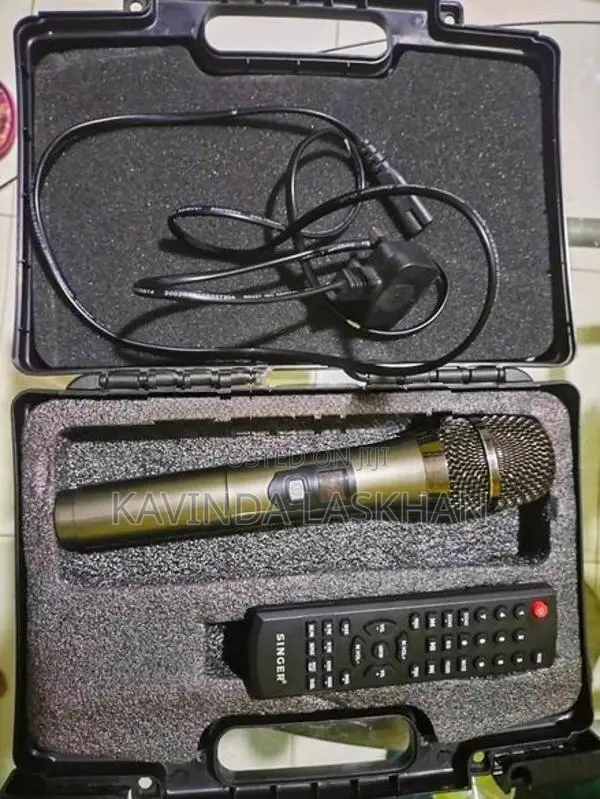 Singer Portable Party Speaker