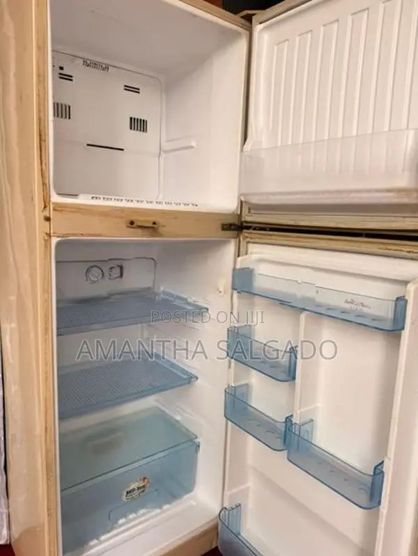 Singer Refrigerator