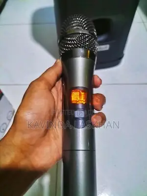 Singer Portable Party Speaker