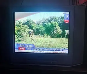 Sony CRT TV