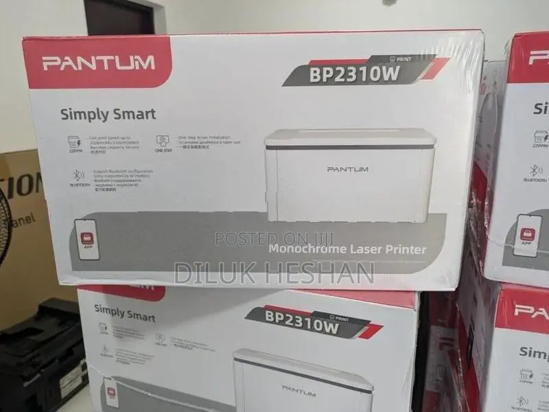 Pantum BP2310W Wireless Monochrome Laser Printer (Print)