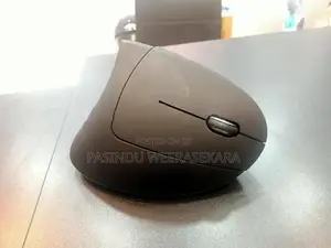 HAVIT MS550GT Vertical Wireless Mouse