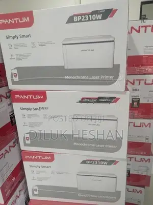 Pantum BP2310W Wireless Monochrome Laser Printer (Print)
