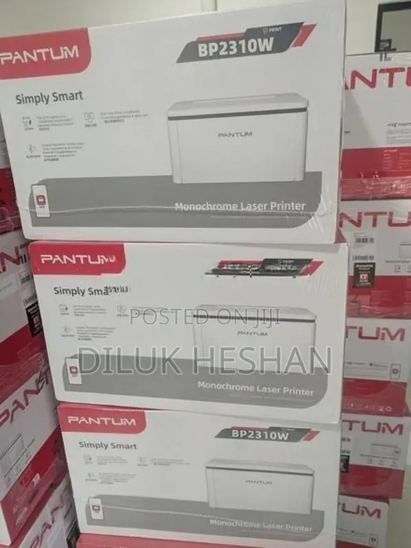 Pantum BP2310W Wireless Monochrome Laser Printer (Print)