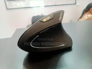 HAVIT MS550GT Vertical Wireless Mouse