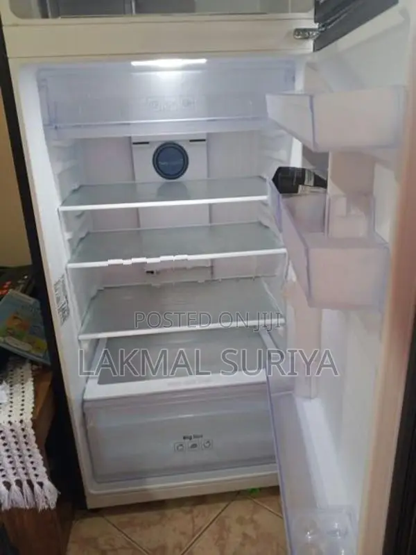 RT42 415 L Refrigerator