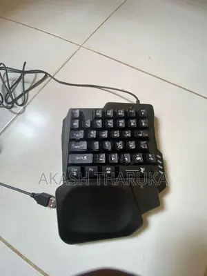 mouse