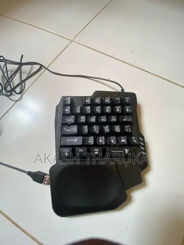 mouse