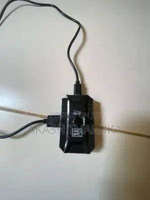mouse