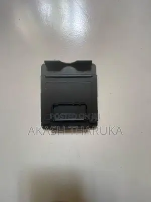 mouse