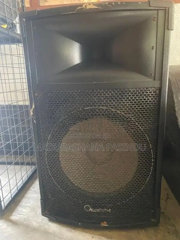 Olan Speakers with Amplifier