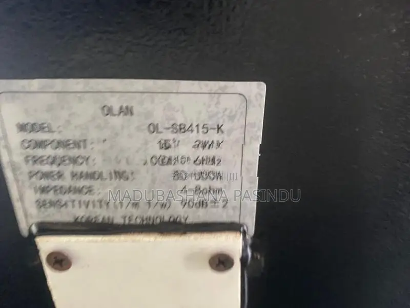 Olan Speakers with Amplifier