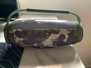 Pulse 6 Speaker