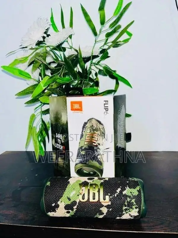 JBL Flip 6