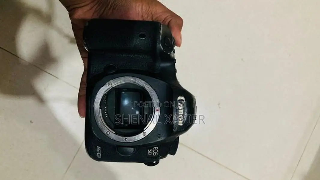 Canon 5d Mark III with 70-200mm f/2.8 IS II
