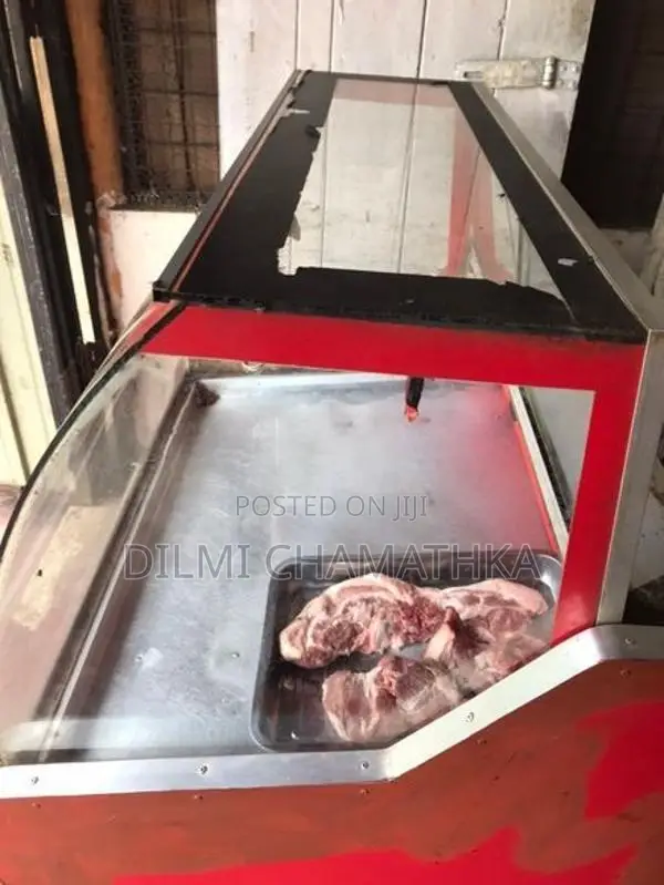 Display Freezer
