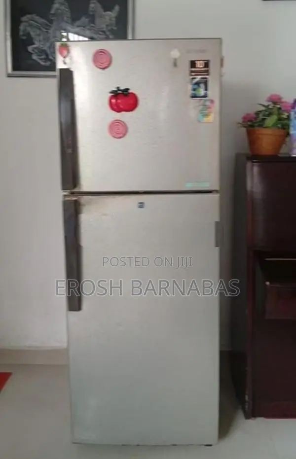 Samsung Fridge