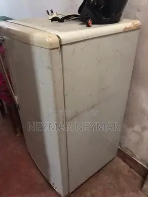 Panasonic Fridge