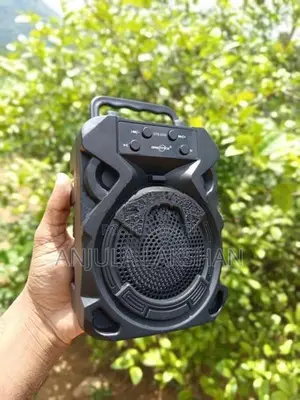PORTABLE WIRELESS SPEAKER