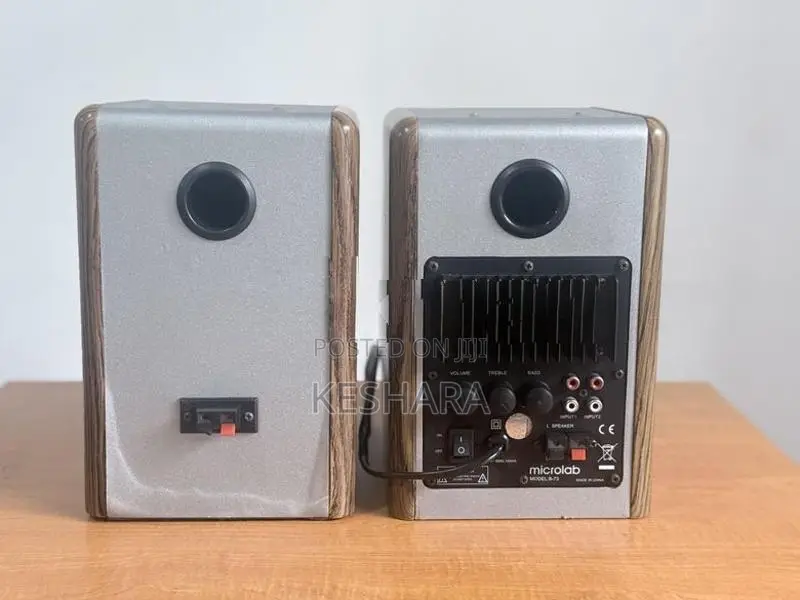Microlab Speaker
