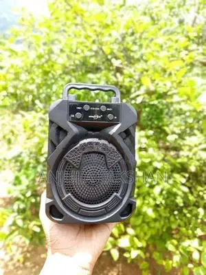 PORTABLE WIRELESS SPEAKER