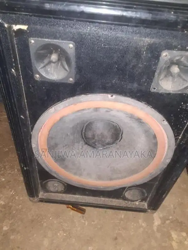 15 inch Speaker
