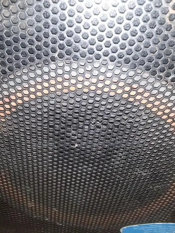 15 inch Speaker
