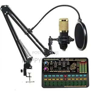 V8S Sound Card With Bm800 Mic