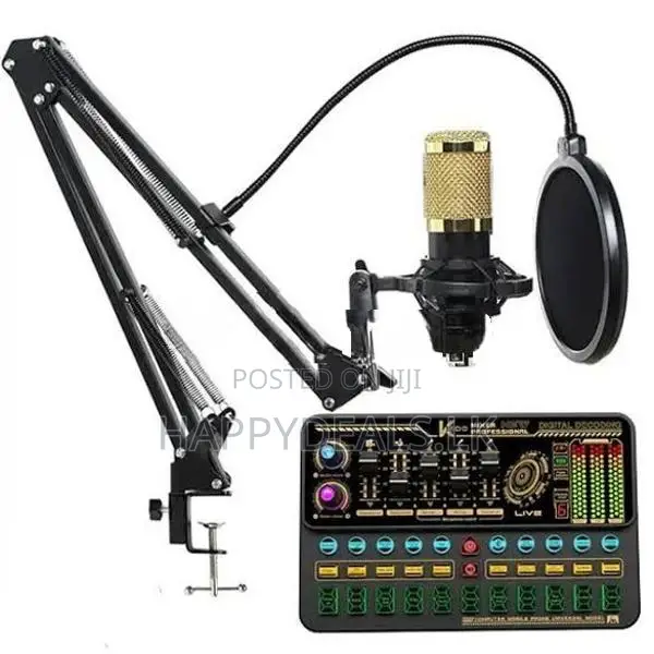 V8S Sound Card With Bm800 Mic