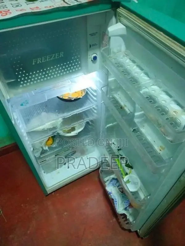 Singer Refrigerator