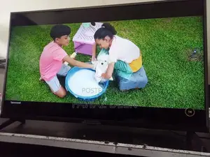 Singer 32 inch framless smart tv