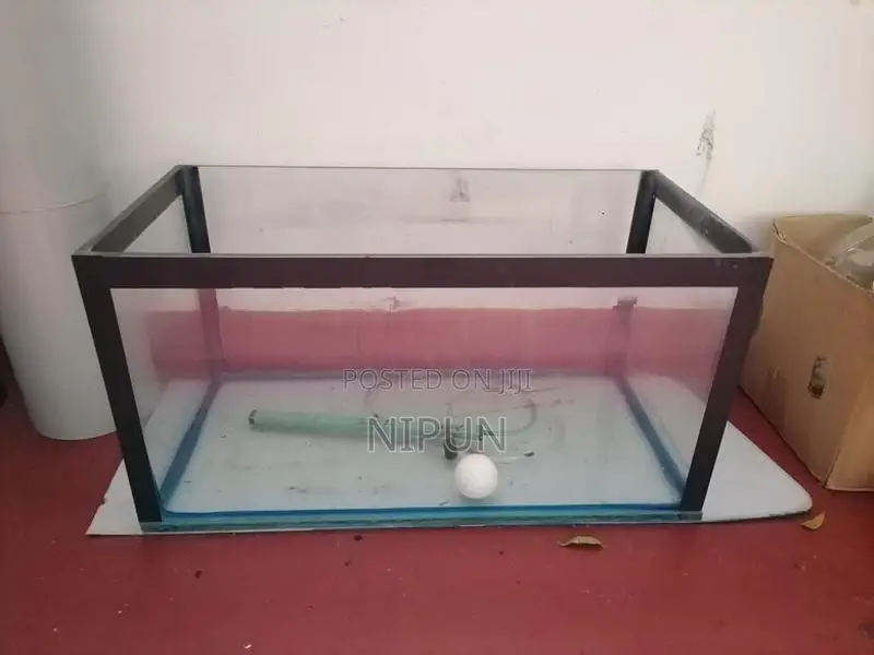 Fish Tank with moter
