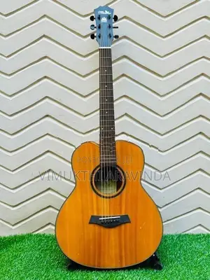 Traveling guitar