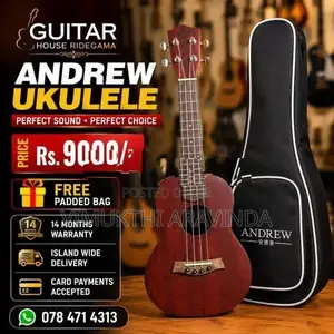 ukulele guitar