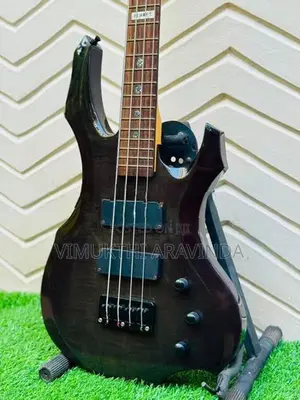 Bass guitar