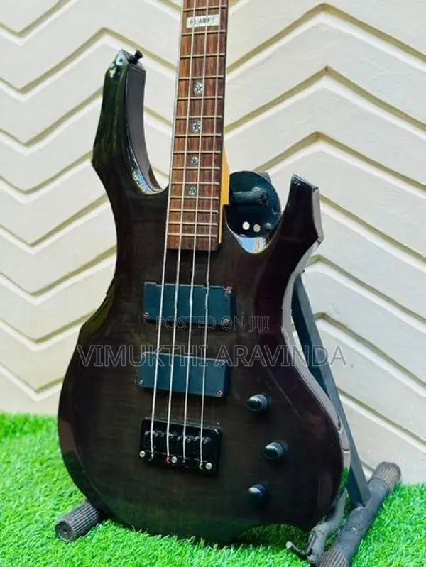 Bass guitar