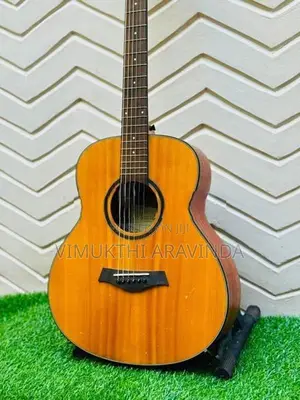 Traveling guitar