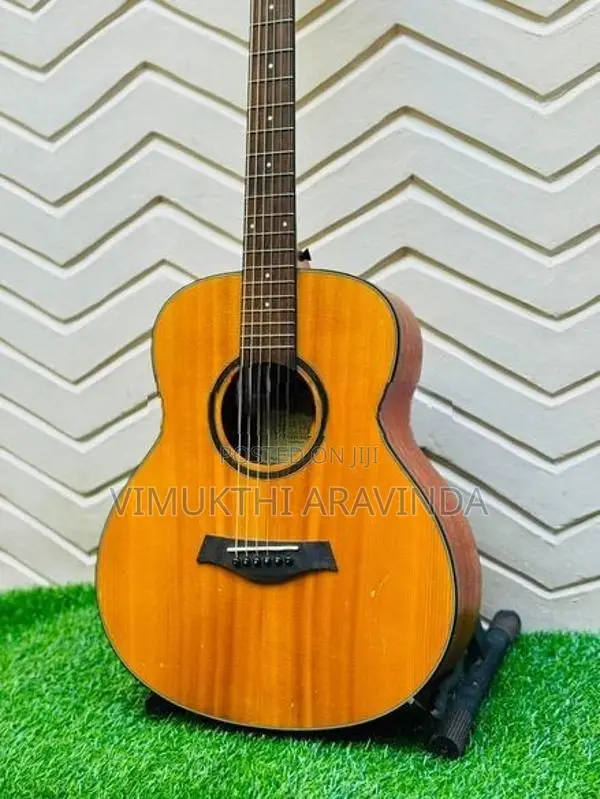 Traveling guitar
