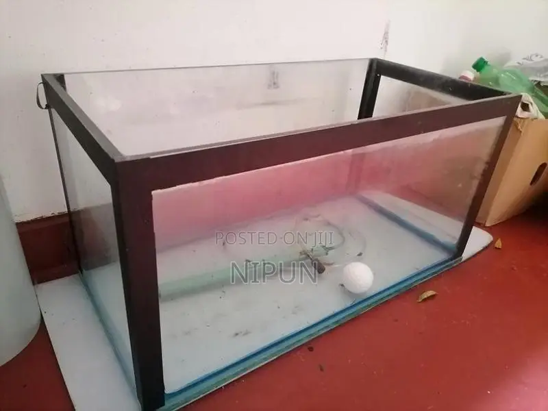 Fish Tank with moter