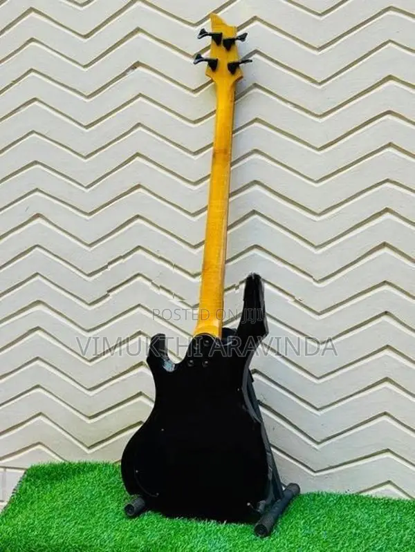 Bass guitar
