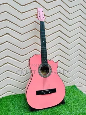 Acoustic guitar
