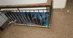 3 Piece Railings Set