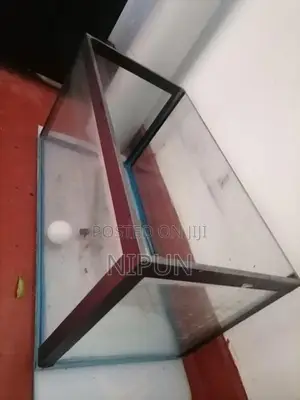 Fish Tank with moter