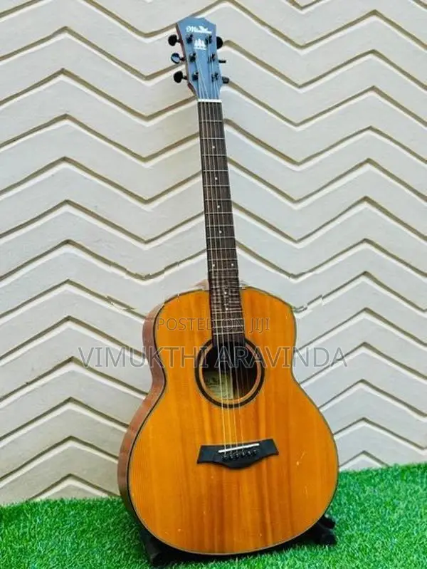 Traveling guitar