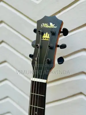 Traveling guitar