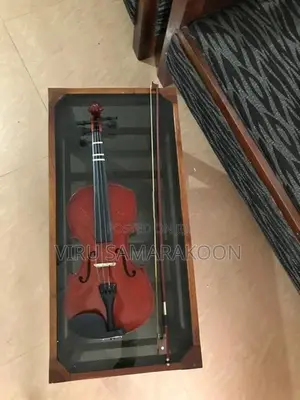 Violin