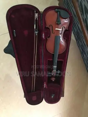 Violin