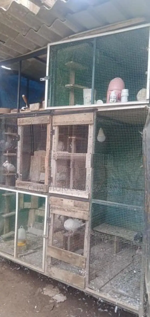 පරවි කූඩුව